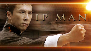 Ip man 2 movie in hindi torrent download full