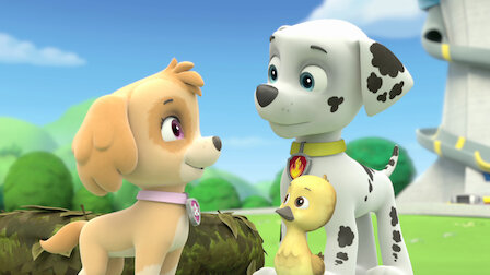 Paw Patrol Netflix